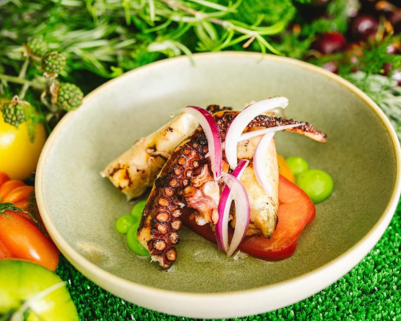 A meal of octopus and veggies